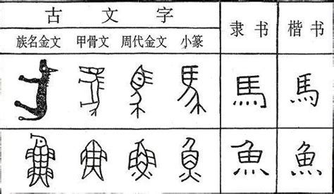 塔字|汉字“塔”的起源与演变（源流）